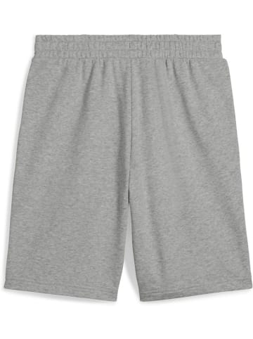 Puma Sporthose "ESS 2 COLOR No.1 Logo Shorts 10" TR" in Grau