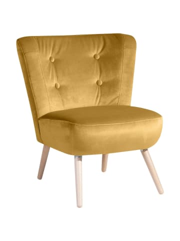 58 aufm Kessel SESSEL Kassi Bezug Samtvelours Buche natur / mais
