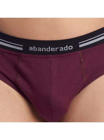 Abanderado Slip in Bordeaux