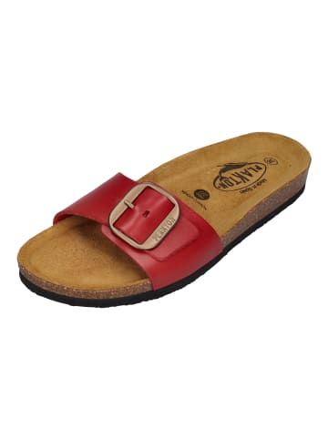 Plakton Pantoletten BIS 3 181018 in rot