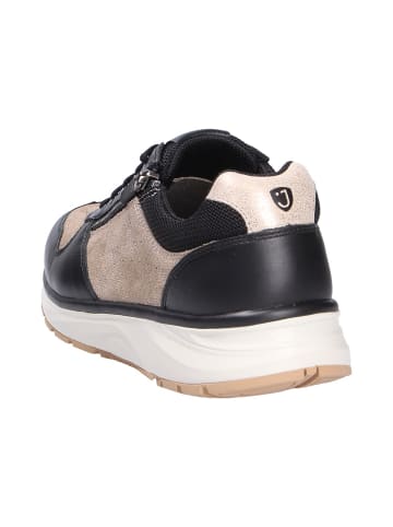 Joya Schnürschuh DYNAMO ZIP W BRONZE/BLACK in schwarz