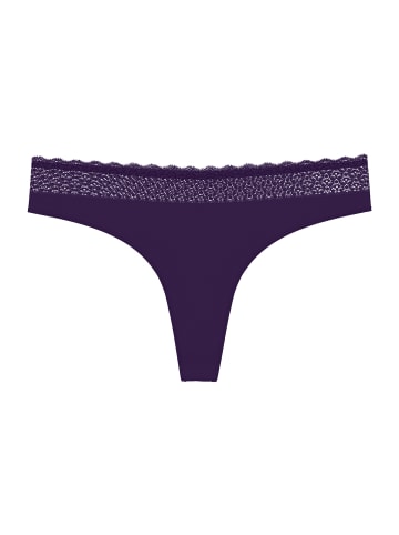 Triumph String Feel of Modal in ROYAL PURPLE