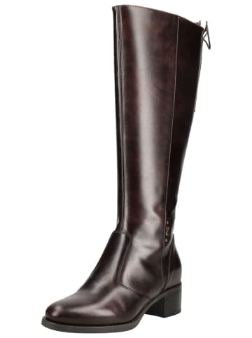 Nero Giardini Stiefel in Dunkelbraun