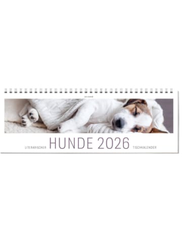 ars vivendi Kalender - Tischkalender Hunde 2026