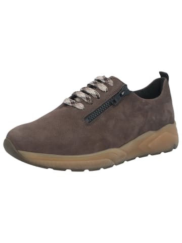 Solidus Sneaker in taupe