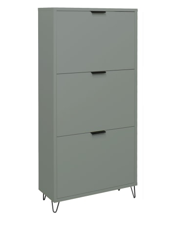 58 aufm Kessel SCHUHSCHRANK Erna 61x25x141 Pinie Green matt Lack