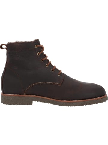 PANAMA JACK Stiefeletten in Castano/Chestnut