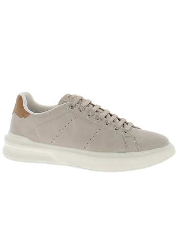 Armata di Mare Sneaker AMUS25D729-BEIGE Beige