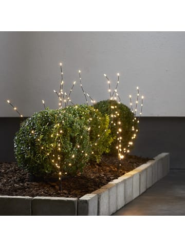 STAR Trading Outdoor Dekozweige ,Reedy' mit Erdspießen, Netzbetrieb, 180 LEDs, warm