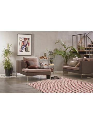 Kurzflor Teppich Clemens 110 in Natur Creme