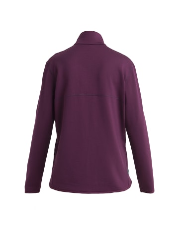 icebreaker Fleecejacke Elemental II L in Dunkelgrau035