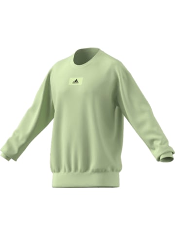 adidas Sweatshirt für Herren in uni