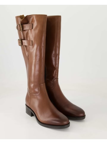 Terry Klassische Stiefel in Braun