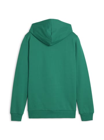 Puma Sweatshirt teamGOAL Casuals Hoody Jr in grün