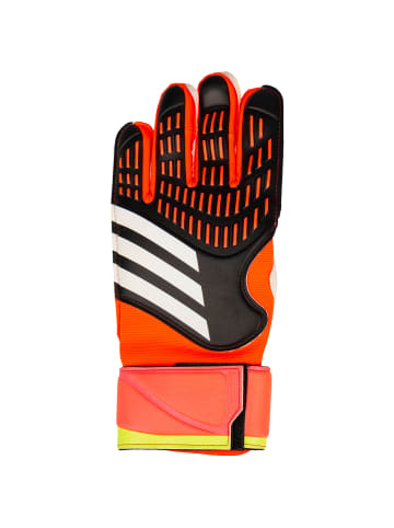 adidas Performance Torwarthandschuh Predator Match in schwarz / rot