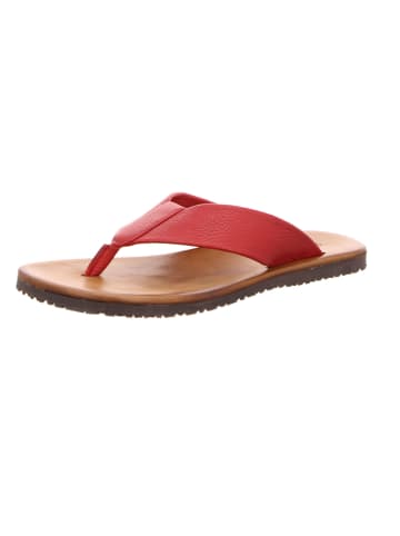 The Sandals Factory Herren-Pantoletten  in rot