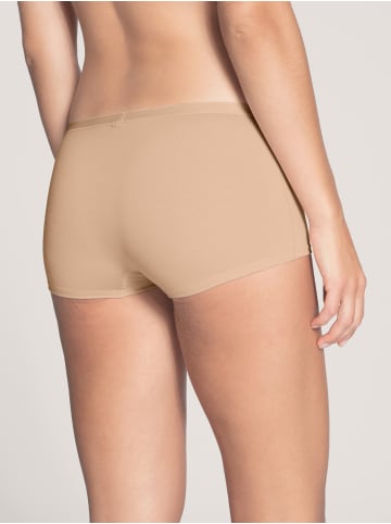 Calida Panty in rose teint