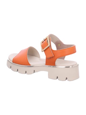 Paul Green Sandalette in rot