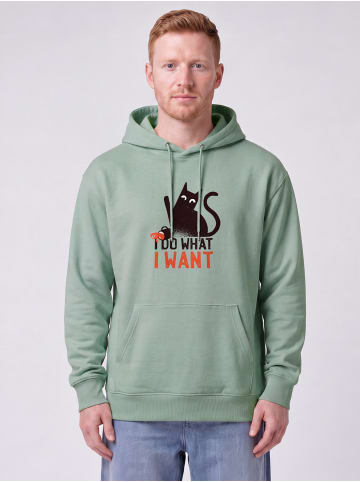 wat? Apparel Sweatshirt Cat in Aloe
