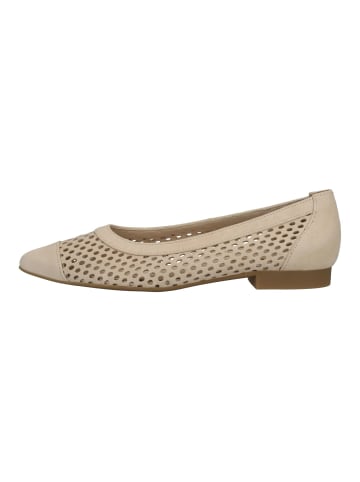 Paul Green Ballerinas in Beige