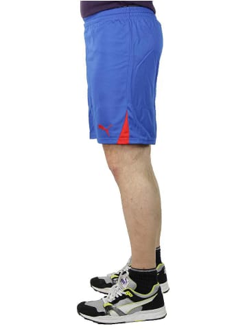 Puma Jogginghose KC Team Ticino Short in blau