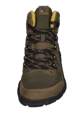 KOEL Ankle Boots ROBO MERINO in grün