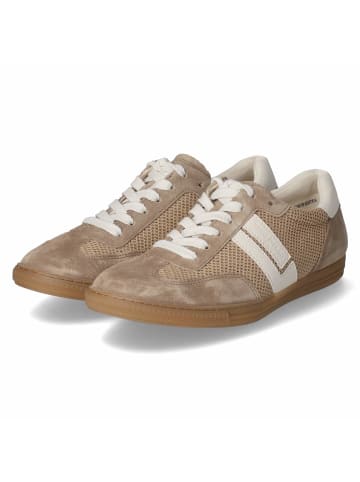 Paul Green Schnürhalbschuh in beige