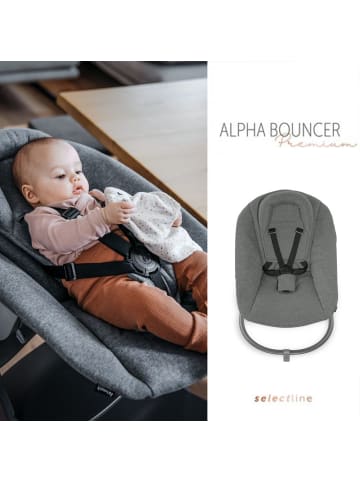 Hauck 4-tlg. Alpha Plus Newborn Set- Hochstuhl in beige,grau