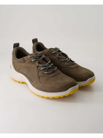 Ecco Sportliche Schnürschuhe in Grau