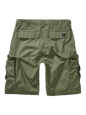 Brandit Cargo Shorts in olive