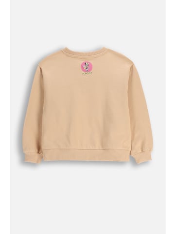 Coccodrillo Baumwoll-sweatshirt in beige