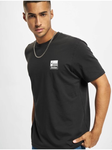 Dickies Dickies T-Shirts in black