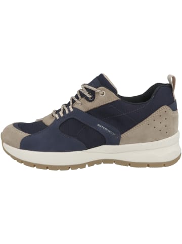 Geox Sneaker low D Braies B Wpf B in multicolor