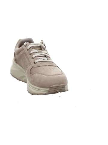 Joya Komfort Schnürschuh in sonstige