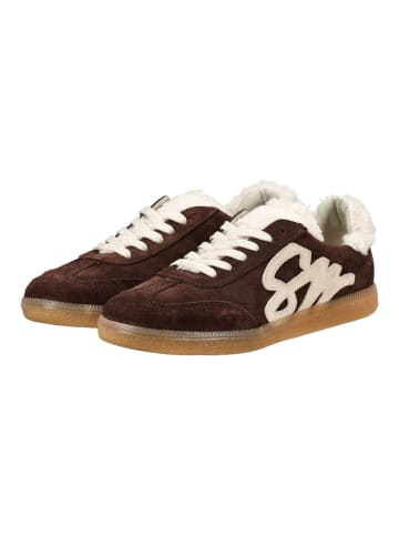 Steve Madden Sneaker in Dunkelbraun