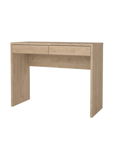 ebuy24 Schreibtisch FunctionPlus Nussbaum 100 x 40 cm