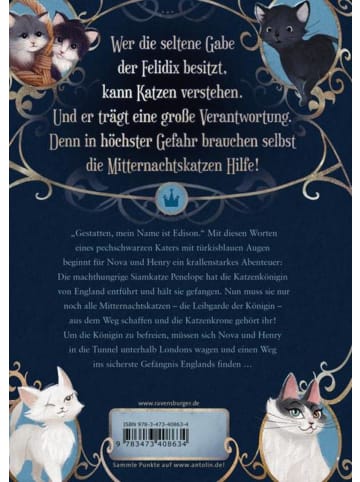 Ravensburger Mitternachtskatzen, Band 1: Die Schule der Felidix (Katzenflüsterer-Fantasy...