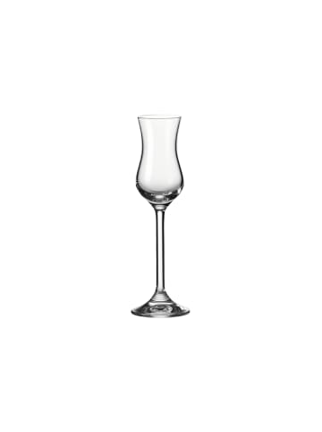 LEONARDO 12er Set Grappaglas Daily 100 ml transparent in transparent
