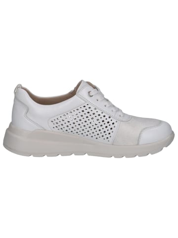 Caprice Sneaker in WHITE/SILVER