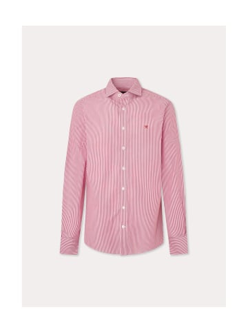 Hackett London Hemd in Weiß / Kastanienbraun