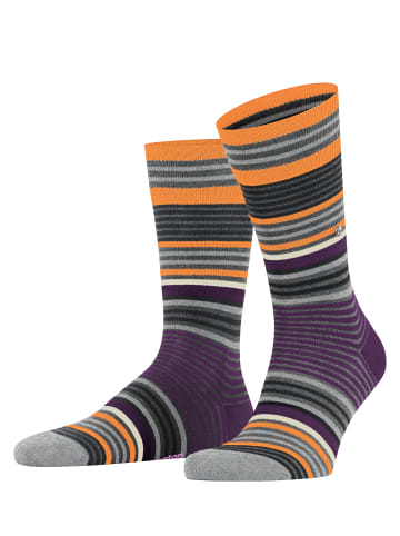 Burlington Socken Stripe in Dark grey