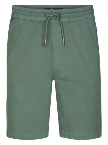 Petrol Industries Chino-Shorts DustDevil in Grün