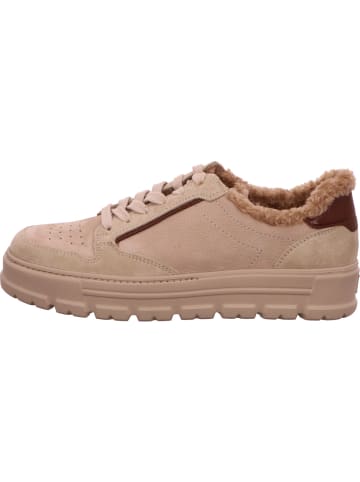 Paul Green Schnürschuh in beige