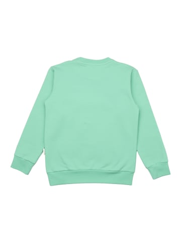 Walkiddy Sweatshirt Swans in Spring-Sweatshirt