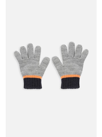 Coccodrillo Handschuhe in bunt