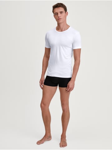Calida T-Shirt in weiss