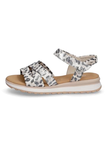 Gabor Comfort Sandale in Luchs Metallic