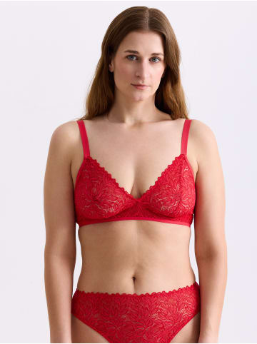 Erlich Textil  Dreamy Lace Triangel BH in chilirot