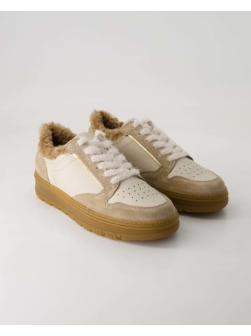Paul Green Sneaker low in Beige
