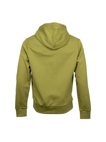 Calvin Klein Sweatshirt in Grün